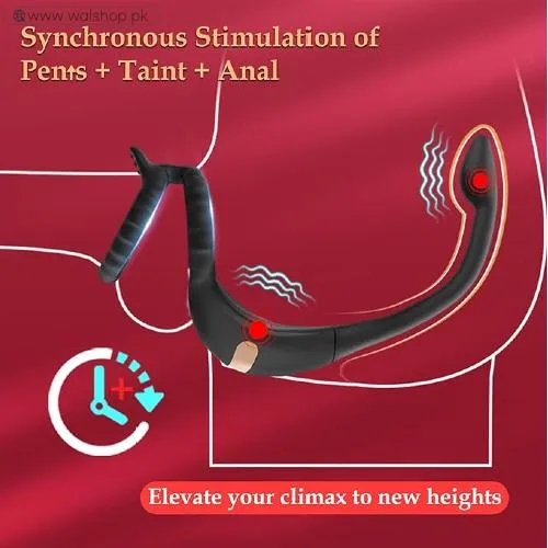 3 In 1 Male Sex Toy Anal Plug Vibrating Cock Ring