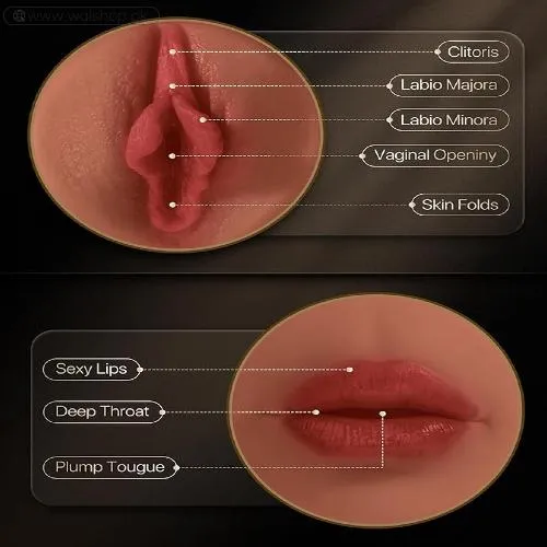 EINSEO Sex Toys Male Masturbator
