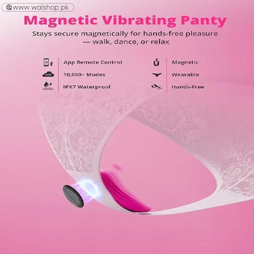Lovense Ferri Vibrating Panties
