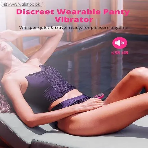Lovense Ferri Vibrating Panties