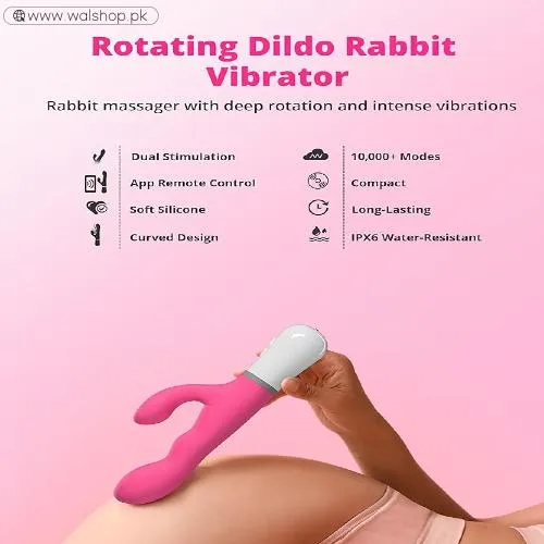 LOVENSE Nora Rabbit Vibrator