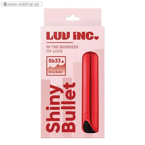 Shine Rechargeable Mini Bullet Vibrator For Woman