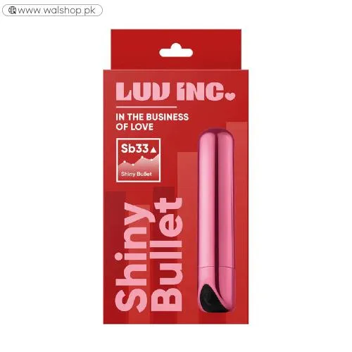 Shine Rechargeable Mini Bullet Vibrator For Woman